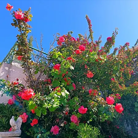 Ferienhaus Rosa *