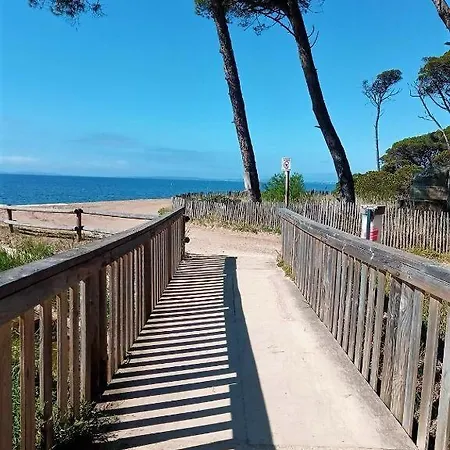 Rosa La Londe-les-Maures