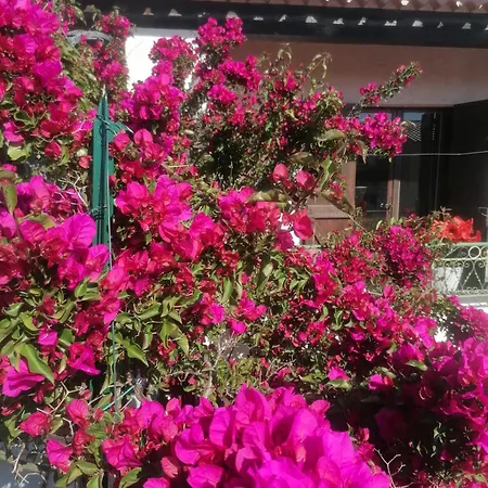 Ferienhaus Rosa La Londe-les-Maures